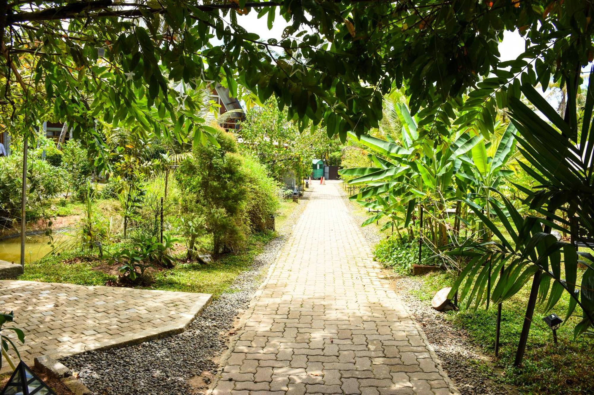 Steps Garden Resort Negombo Exteriör bild