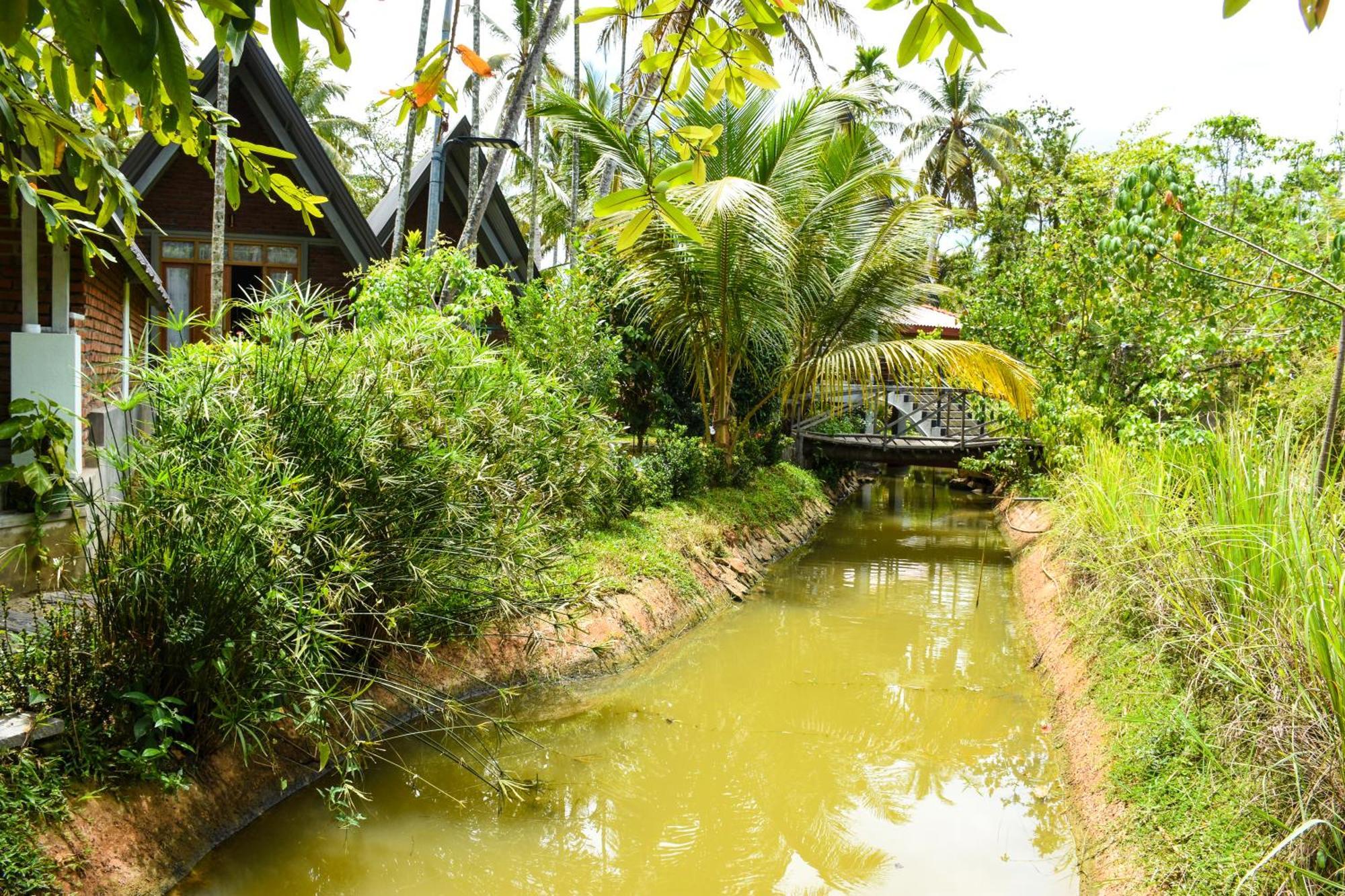 Steps Garden Resort Negombo Exteriör bild