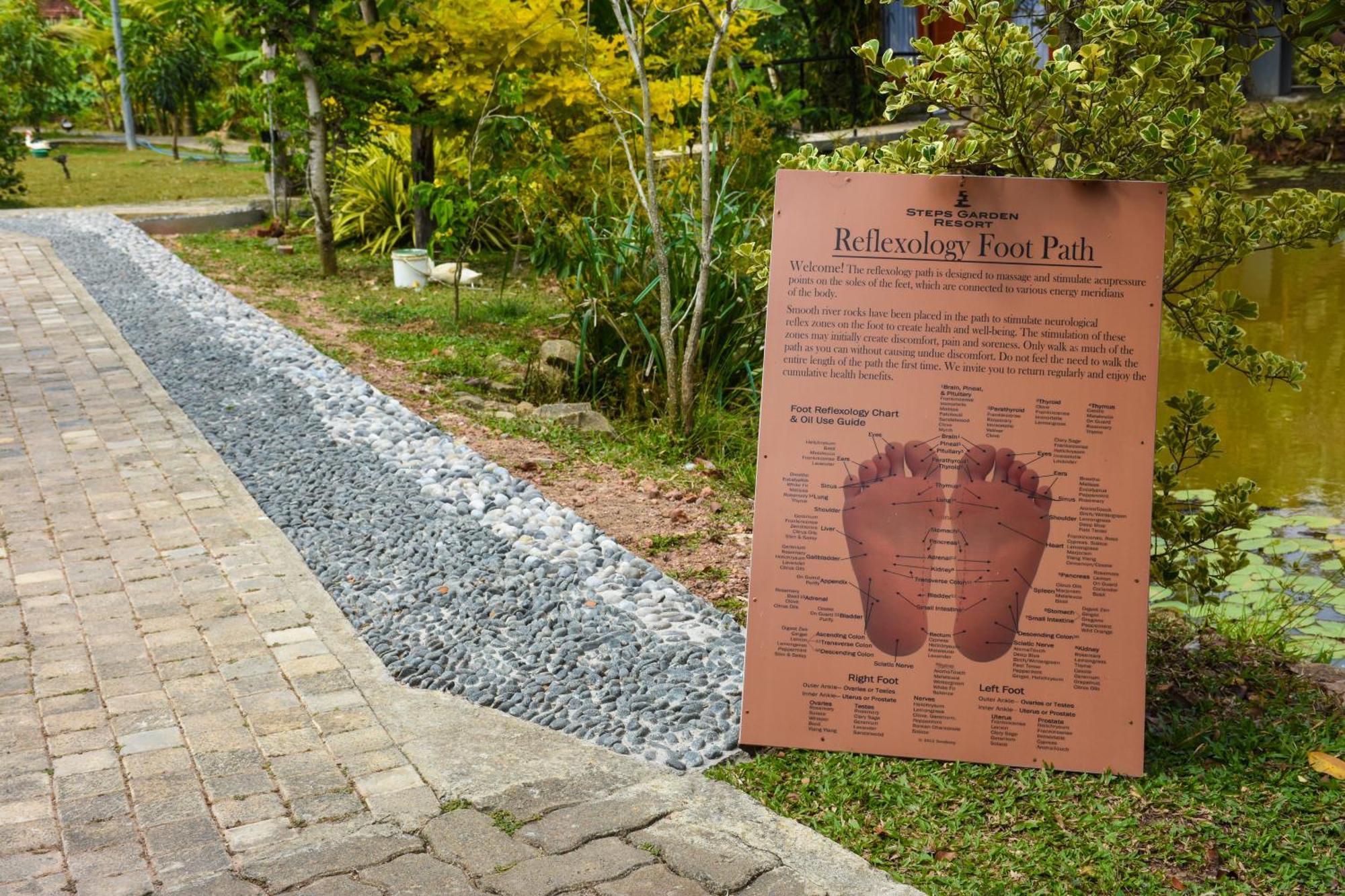 Steps Garden Resort Negombo Exteriör bild